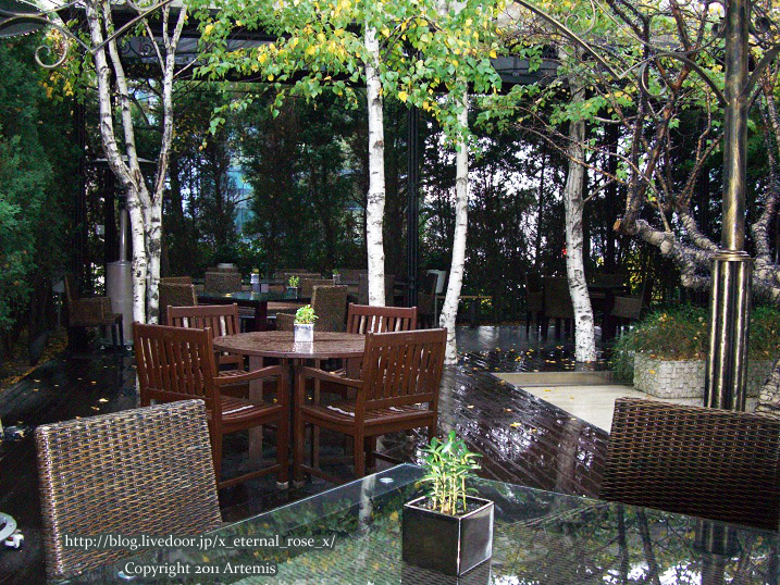 9.11.13 リッツ朝  (3)