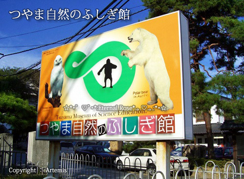 イメージ 13