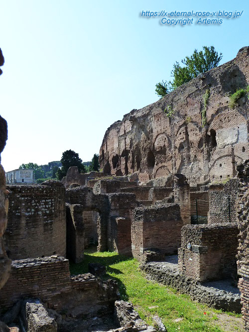 11.5.30.4 コロッセオ  (22)