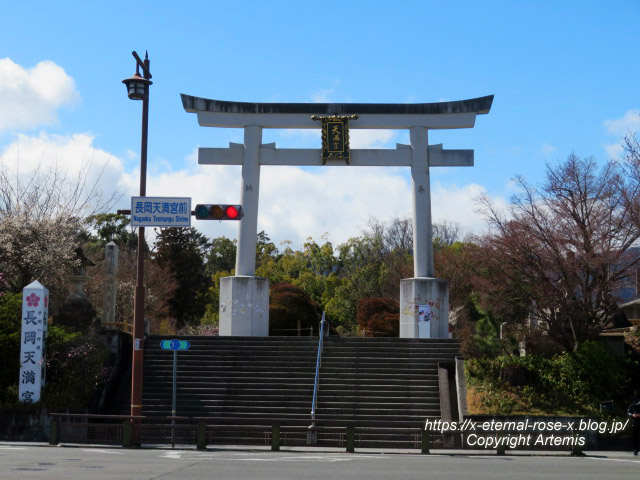 23.3.2.4 長岡天満宮  (31)