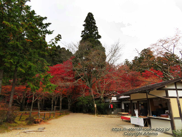 19.11.27 高雄 神護寺 (174)