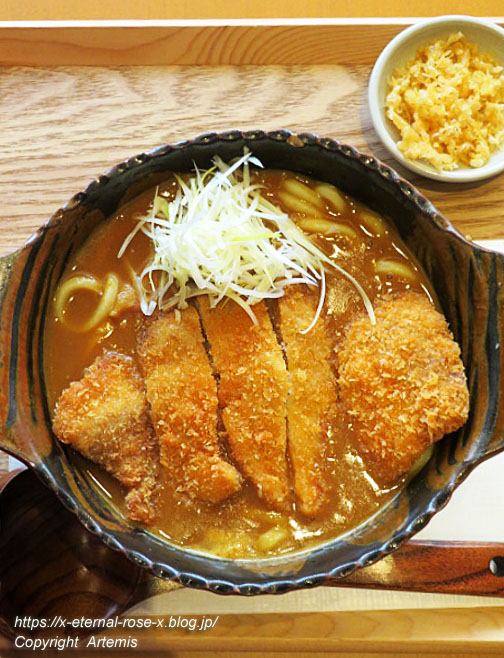 22.2.11 KAZUOうどん (25)