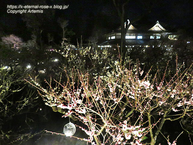 23.3.3. 北野天満宮 (85)