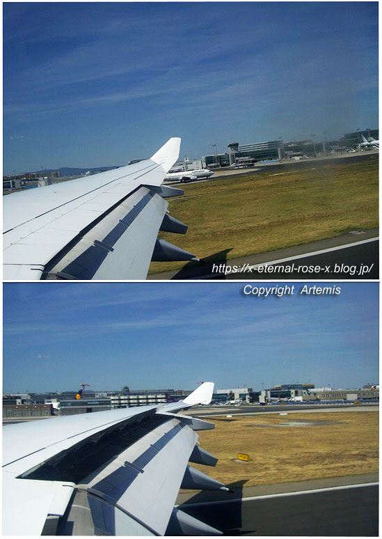 ルフトハンザ ドイツ航空で ドイツ フランクフルト空港 機内食 11 Eternal Rose エターナルローズ