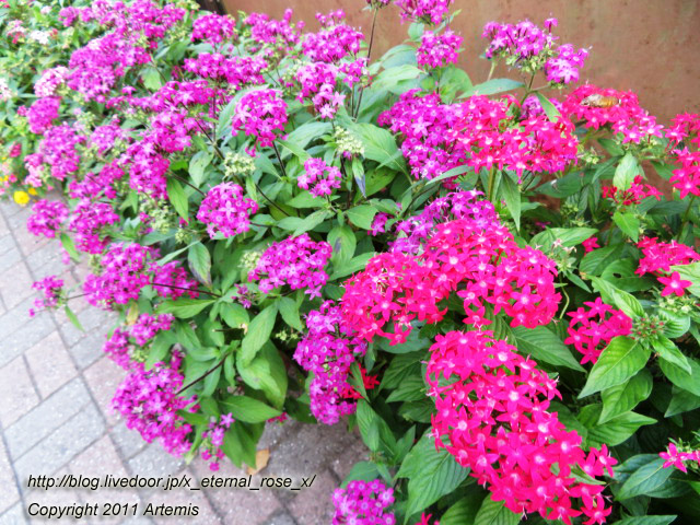 20.10.31.8 城山公園展望台  (5)