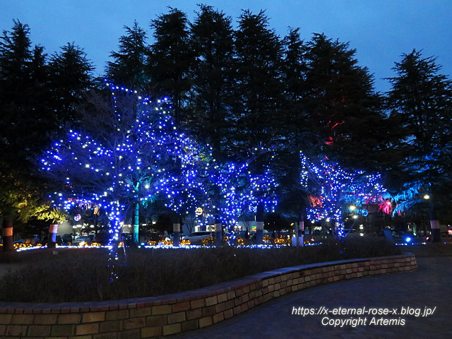 23.2.12.5 西大寺緑花公園  (22)
