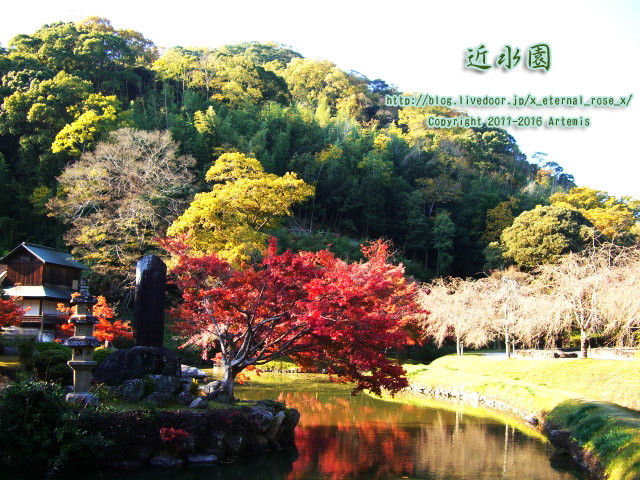 13.11.23.0 近水園 (24)