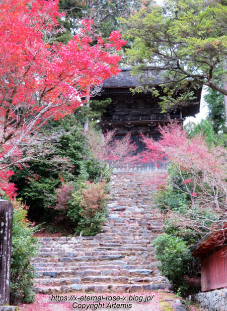 19.11.27 高雄 神護寺 (62)