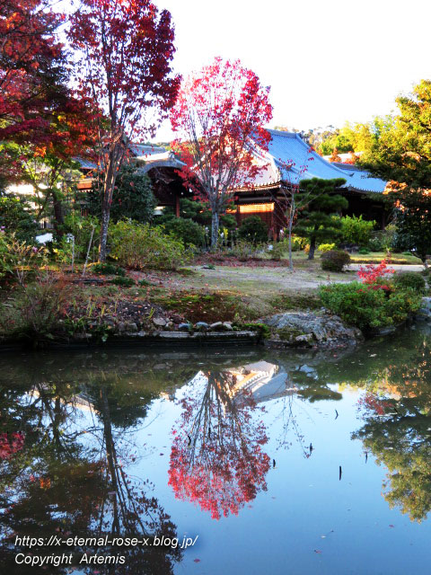 19.11.23.9 法金剛院 (25)