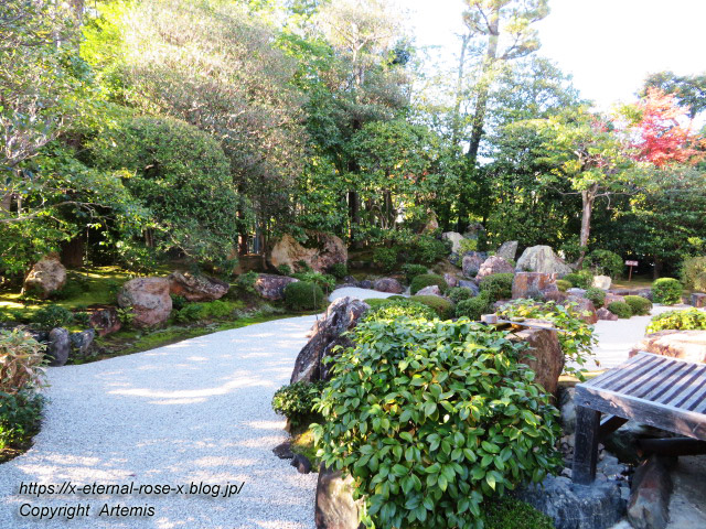 19.11.23.7 妙心寺 退蔵院  (39)