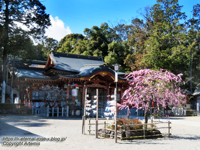 23.3.2.4 長岡天満宮 (2)