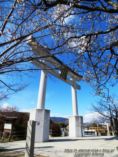 23.3.2.4 長岡天満宮 (15)