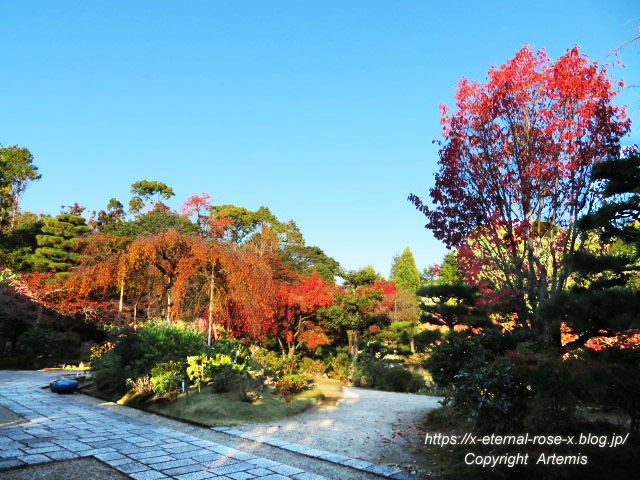 19.11.23.9 法金剛院  (9)