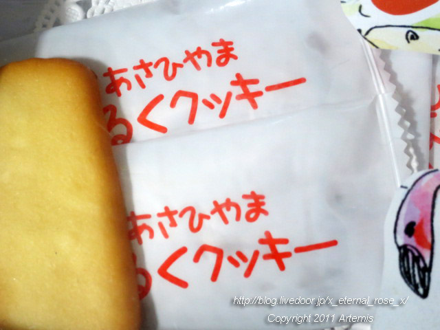 18.11.22.14 旭山動物園 (10)