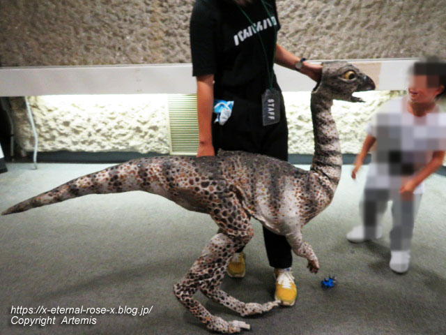 19.8.18.1 恐竜動物園 (154)