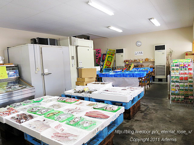 17.4.30 吉又  (10)