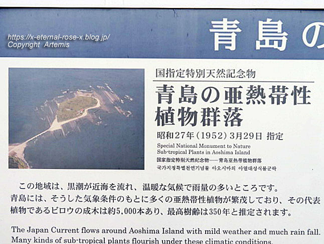20.11.1.2 青島 (29)