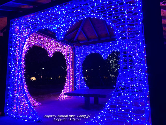 23.2.12.6 西大寺緑花公園. (41)