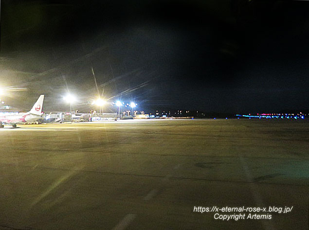 18.11.24.16 新千歳空港 (24)