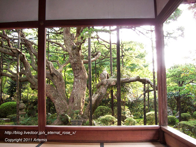 10.10.18.5 宝泉院  (18)