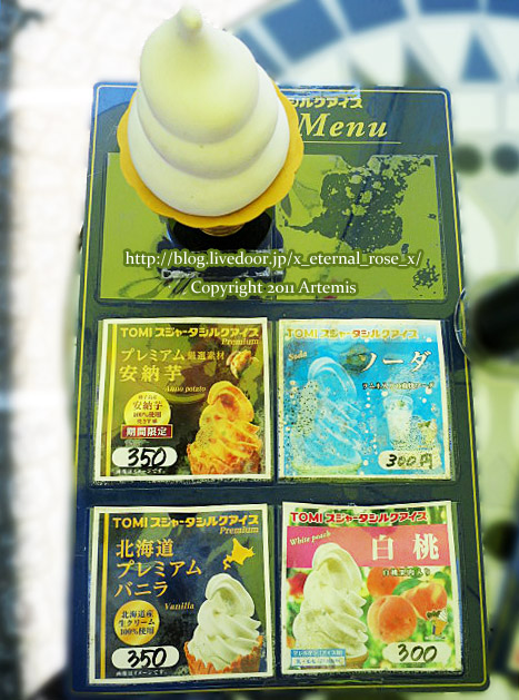 18.6.16.5 しょっぴんぐばさーる館 (2)