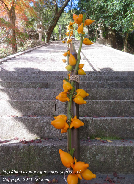 20.11.21.3 備中高梁稲荷神社  (11)
