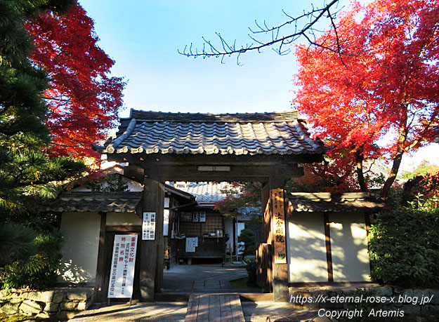 19.11.23.9 法金剛院 (6)