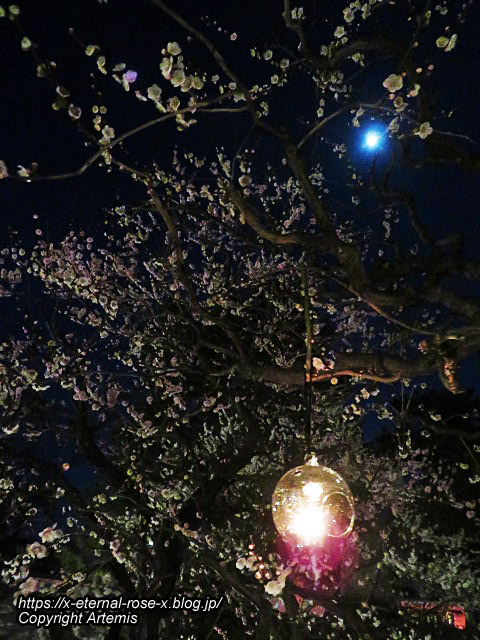 23.3.3. 北野天満宮 (37)
