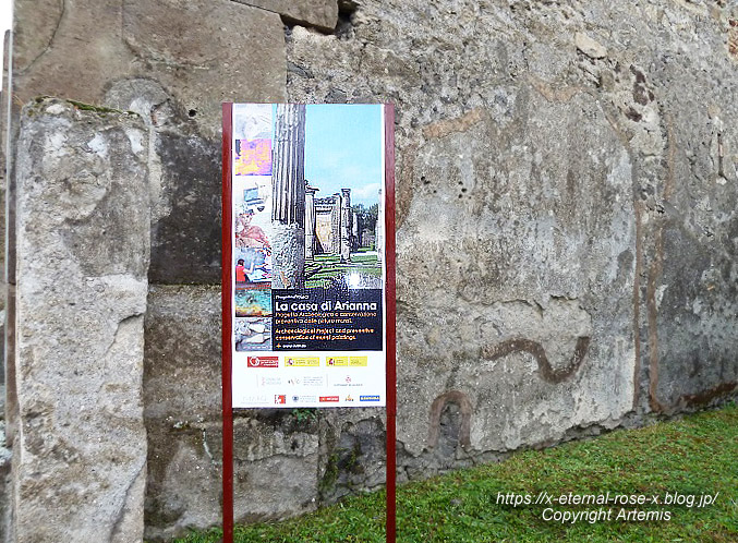 11.6.1.8 ポンペイ遺跡 水道　 (130)