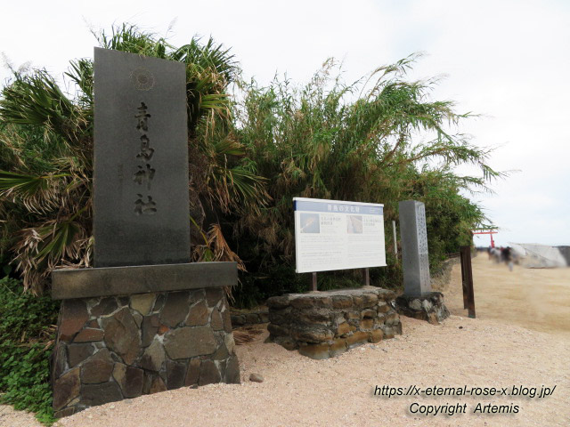 20.11.1.2 青島  (30)