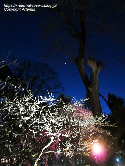 23.3.3. 北野天満宮 (31)