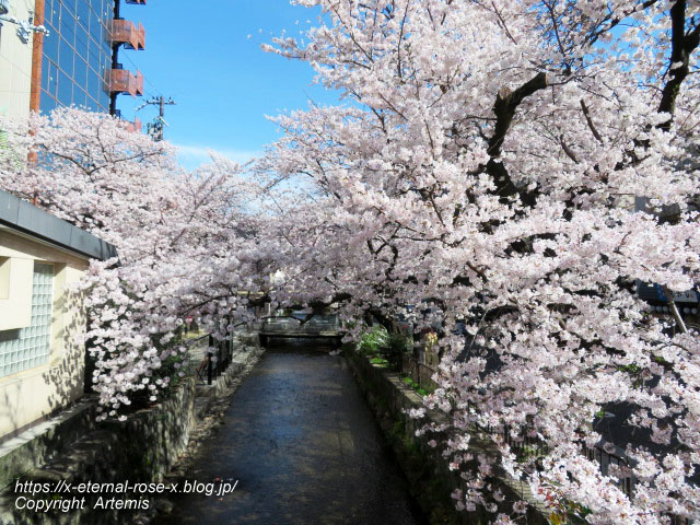 22.4.1 四条河原町 (4)