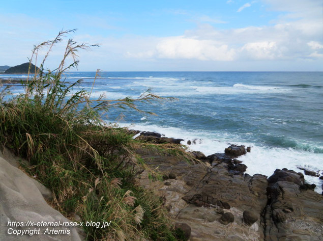 20.11.1.5 いるか岬  (4)