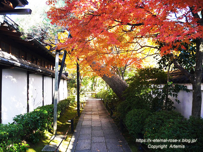 19.11.23.7 妙心寺 退蔵院  (106)