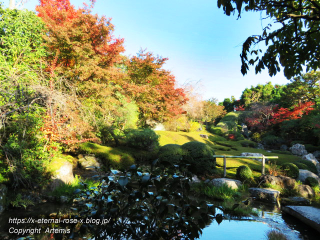 19.11.23.7 妙心寺 退蔵院  (60)