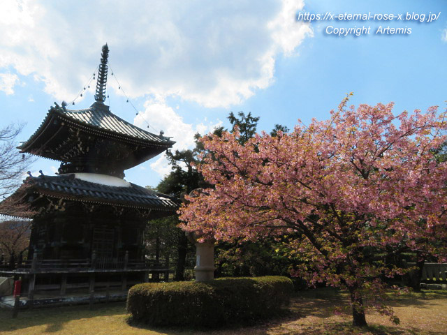 20.3.19.6 清涼寺 (10)