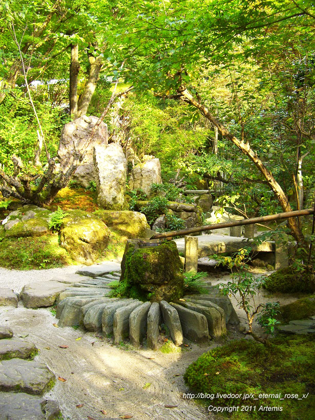 10.10.18.5 宝泉院  (25)