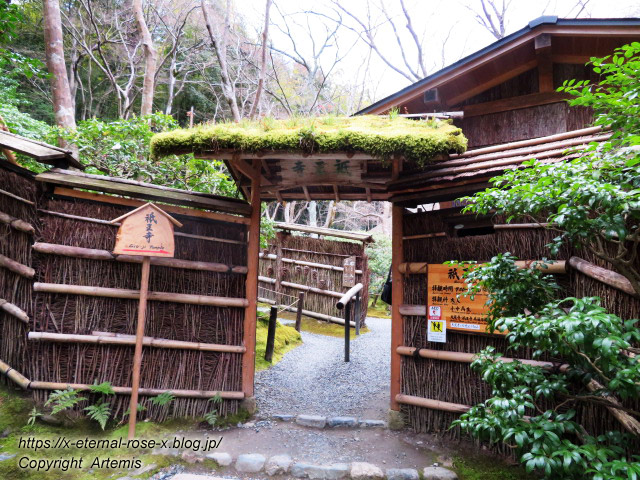 20.3.19.9 祇王寺  (9)