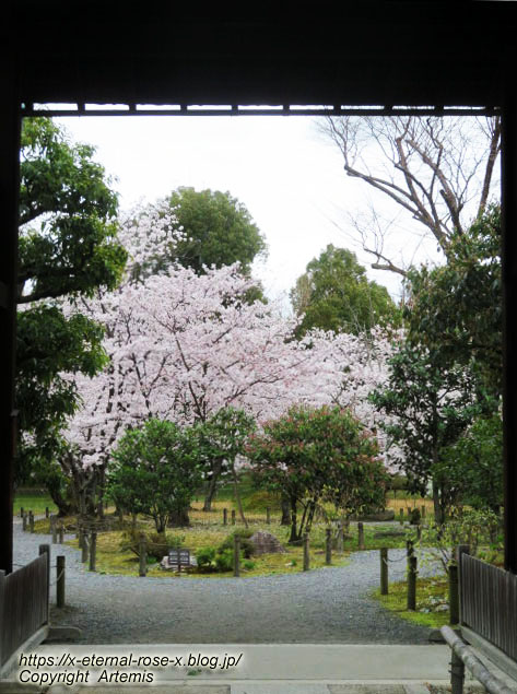22.3.31.4 渉成園　枳殻邸  (11)