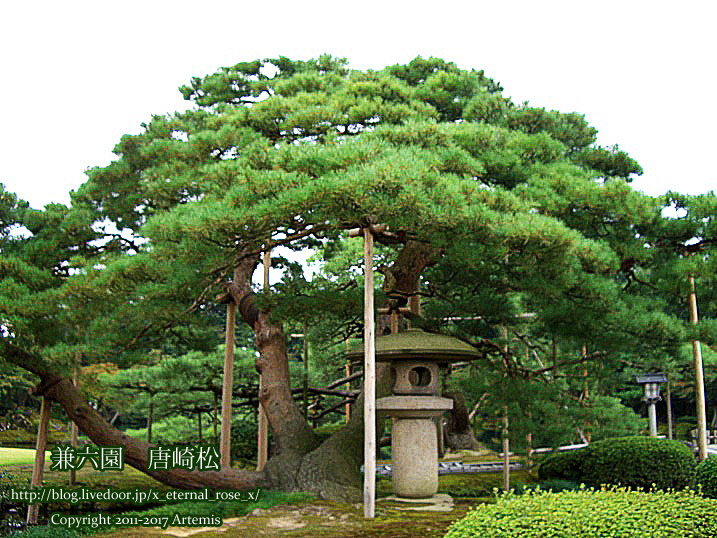 2 兼六園 (40)
