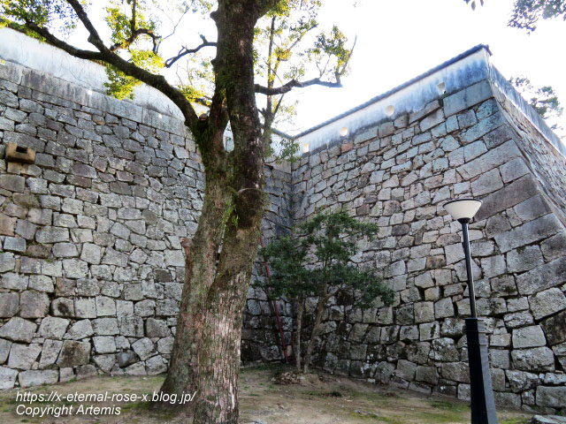 23.1.1.1 岡山城  (15)