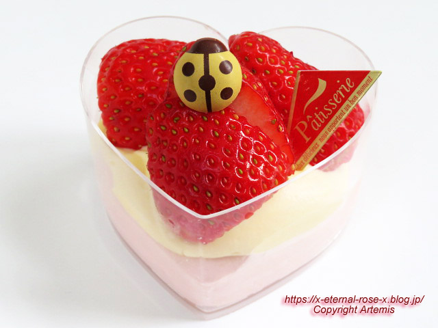 22.12.25 サフラン  (26)