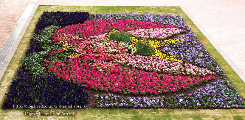 27 おかやま花だより  (58)
