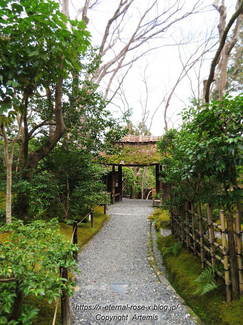 20.3.19.9 祇王寺  (13)
