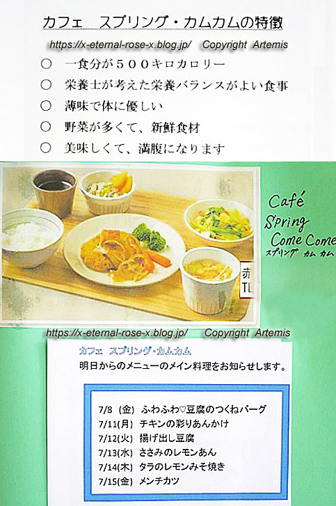 16.7.8 スプリングカムカム (23)
