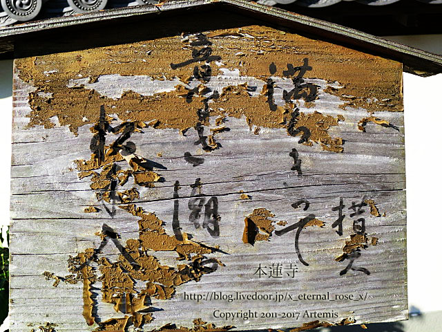 10 本蓮寺 (10)