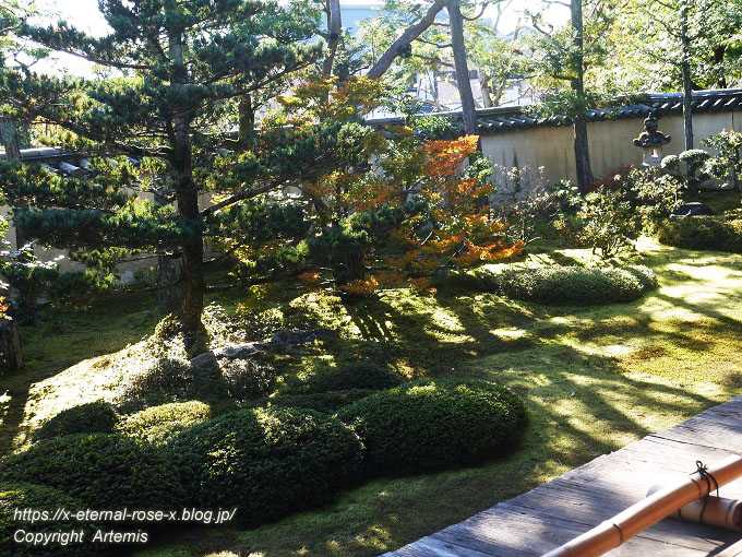 19.11.23.4 大雄院 (13)