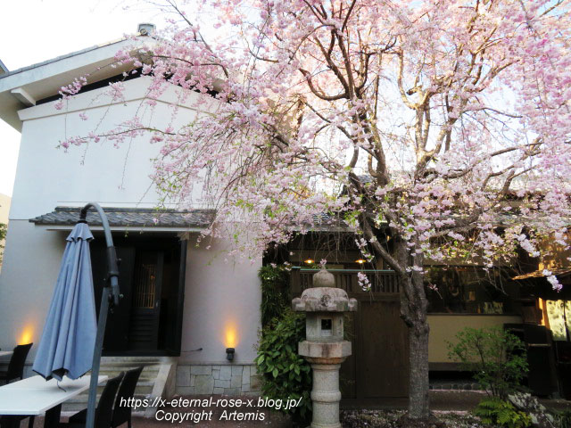 22.4.7 sonoka そばの実スイーツ  (78)