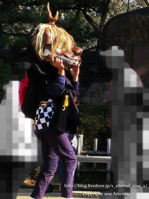 19.1.1.2 岡山城  (50)