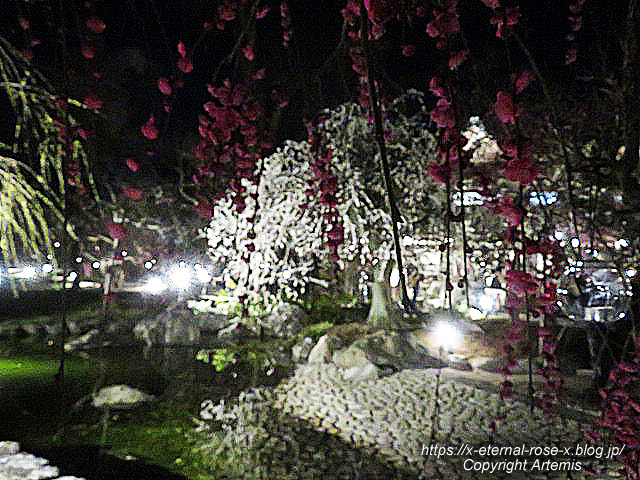 23.3.3. 北野天満宮 (65)